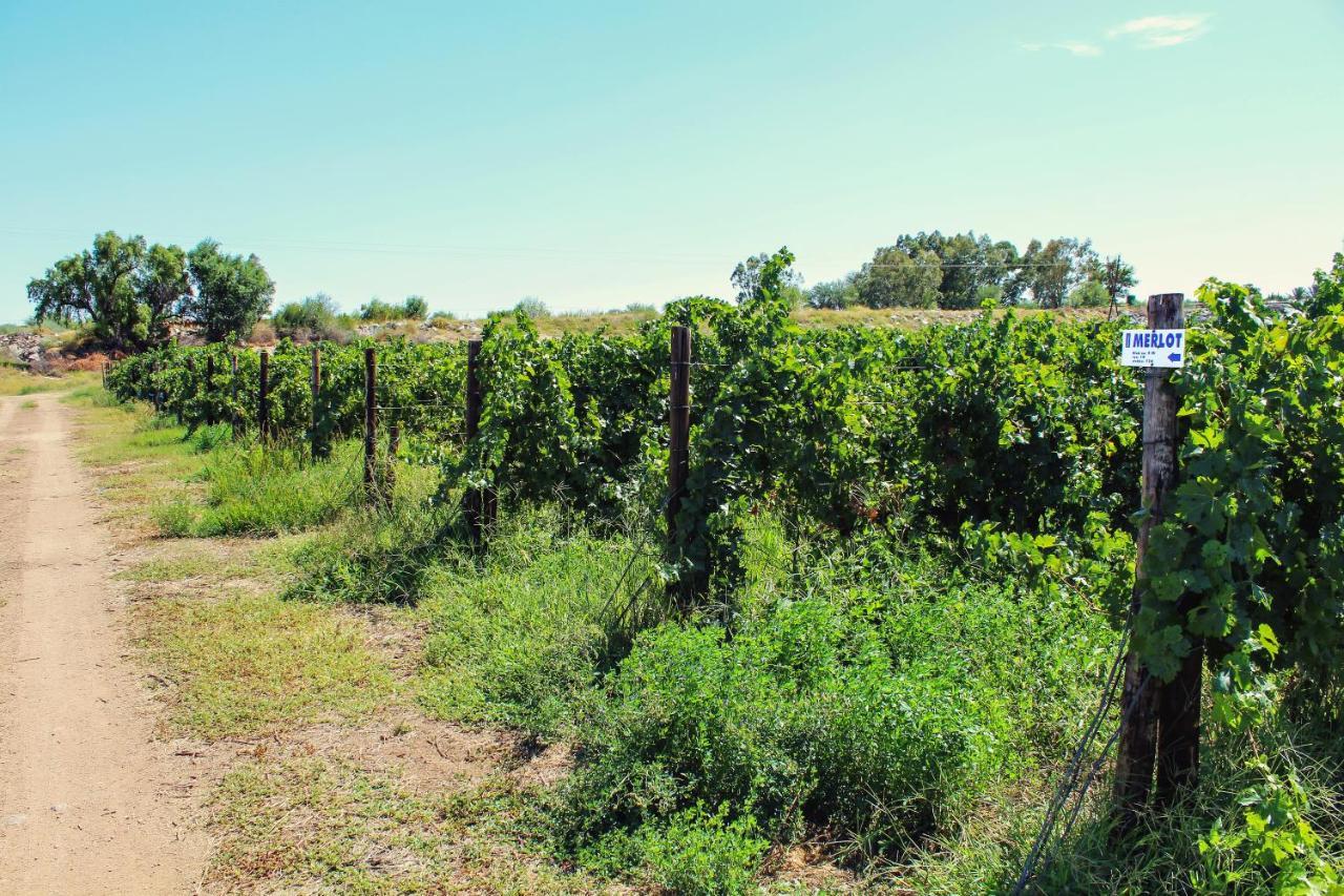 فيلا Bezalel Wine & Brandy Estate Kanoneiland المظهر الخارجي الصورة