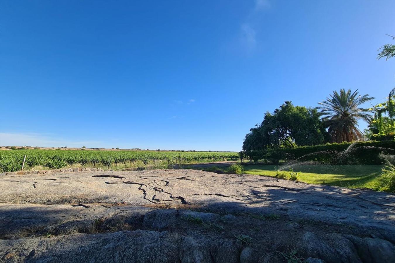 فيلا Bezalel Wine & Brandy Estate Kanoneiland المظهر الخارجي الصورة